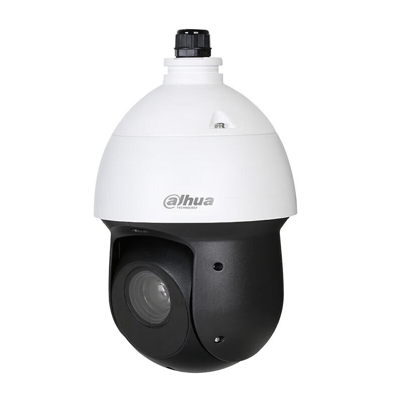 

Dahua 4MP 23x Starlight Outdoor PTZ Dome Camera CN plug (adapter included)