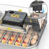 48pcs Egg Automatic Incubator Digital Poultry Hatching Machine for Home Smart Chicken Egg Incubator Farm Breeding Equipment