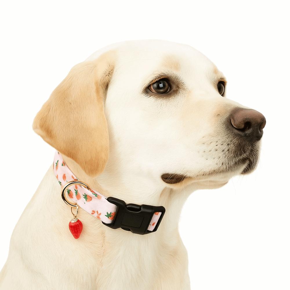 Fruit Print Dog Strawberries Collar Soft Comfortable Dog Necklace with Pendant Polyester Cat Watermelon Collar Pet Accessories