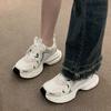 Fried Street Dad Shoes Girl 2025 New Autumn and Winter Versatile Thick-soled Breathable Little White Mesh Shoes Casual Sneakers