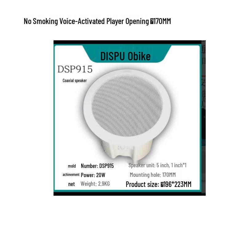 

Kankeirr DSP915 No-Smoking Voice Sensor Broadcast System CN plug (adapter included)