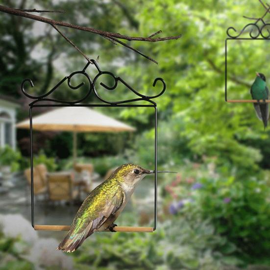 Hummingbird Swing And Perch Rustic Metal Frame Birds Swing with Wood Perch Hanging Parrot Perch for Outdoor Garden Patio Balcony