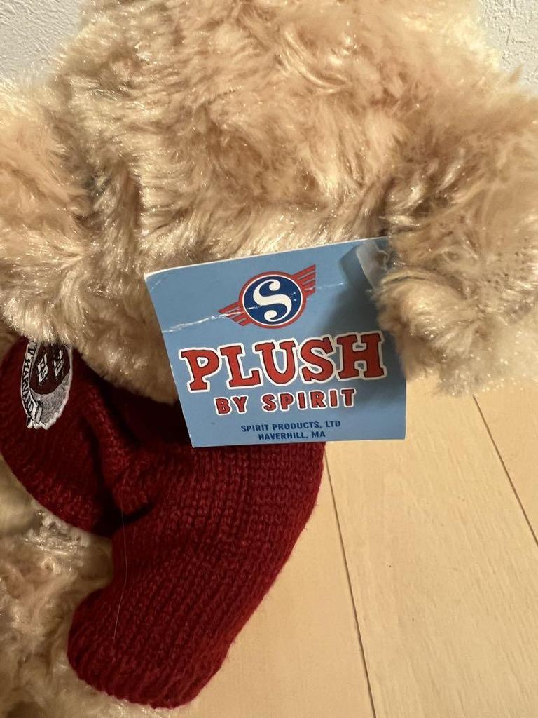 [USED] Harvard University Teddy Bear ()