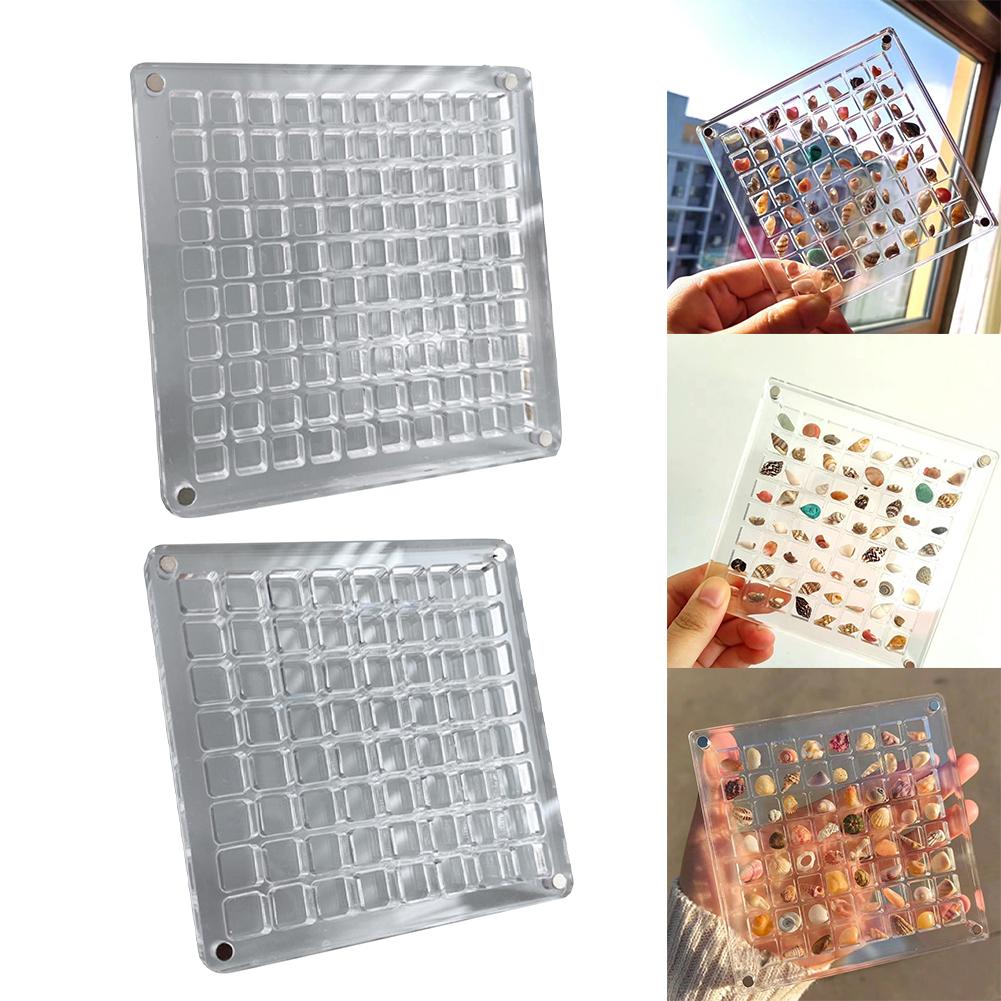 36/64/100 Shells Acrylic Clear Magnetic Storage Box Seashell Display Showcase Mini Jewelry Display Case Organizer