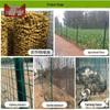 Zhongque Welded Wire Mesh Fence