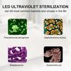 Portable LED UV Ultraviolet Sterilizer Disinfection Light USB Germicidal Lamp