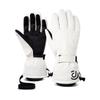 Ailan Huijia DU Winter Ski Gloves