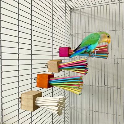 Parrot Wooden Toy Rainbow  Paper Stick Grinding Teeth, Biting, and Ventilating Swing Stand Stick