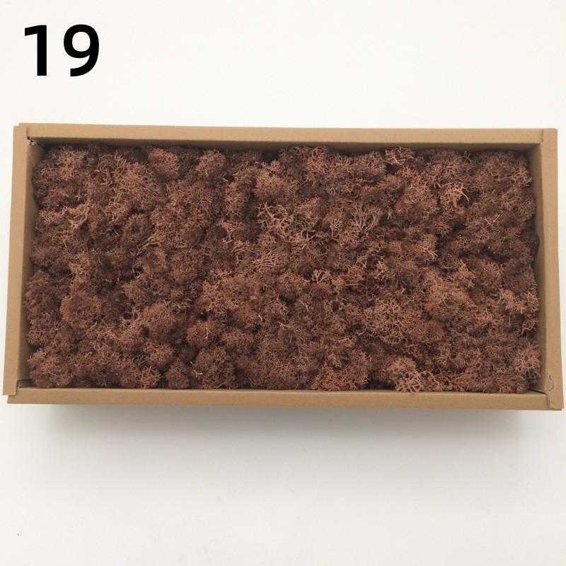 Neue 50/30/10g Künstliche Grüne Pflanzen Ewiges Leben Moos Gras Heim Garten Dekoration Mini Landschaft Künstliche Blume DIY Bastelgeschenke