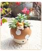 Mushroom Fun Resin Flower Pot - Creative Gardening Succulent Planter for Desk or Table