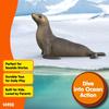 Schleich Wildlife Sea Lion Ages Realistic Animal Toy 14933 Figurine, 3+,