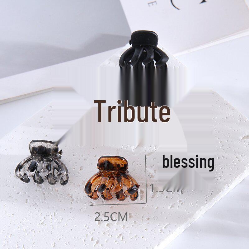 Coffee-Colored Matte Claw Clip for Wispy Bangs - Small Hair Accessory for Top of Head or Side Decoration