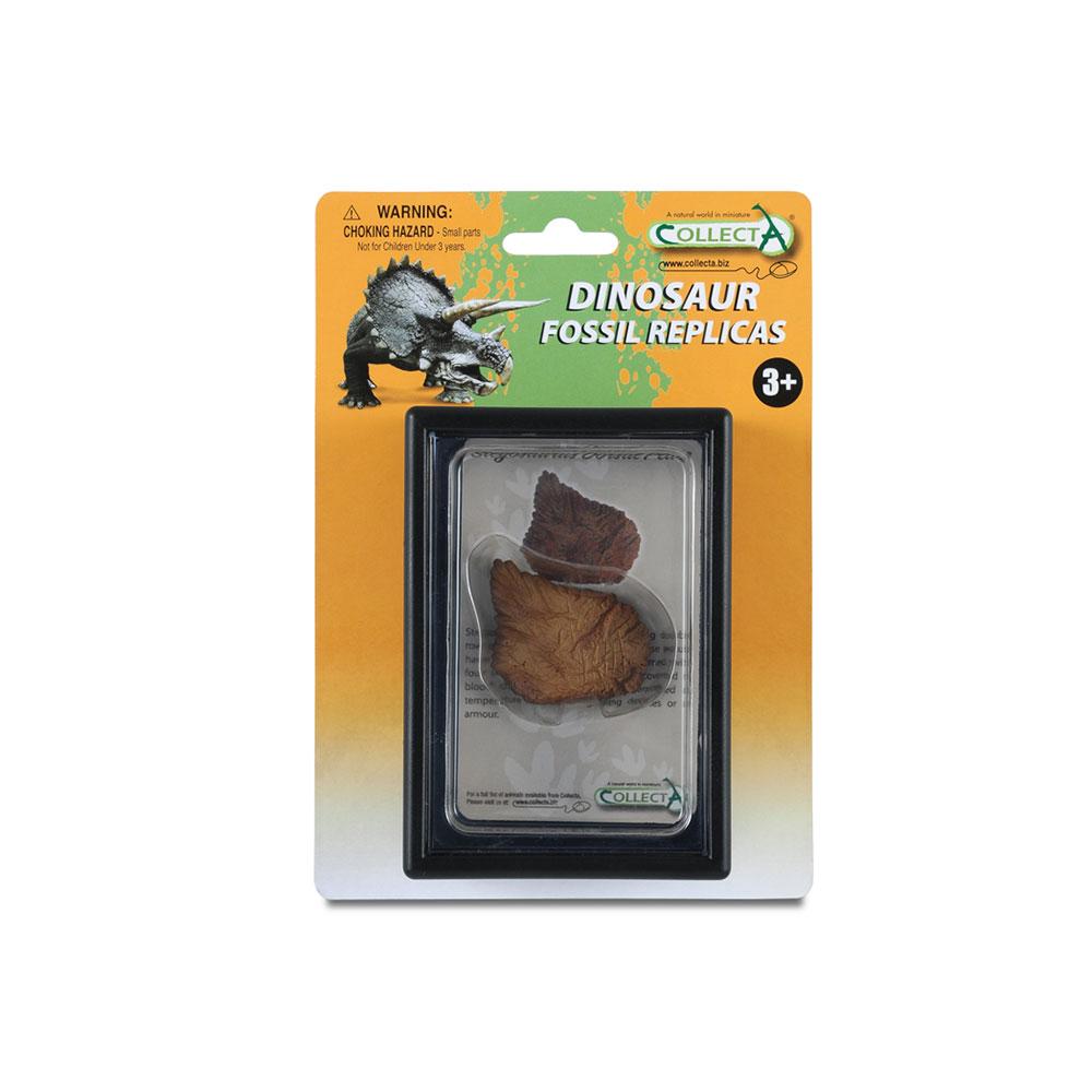 

CollectA Dorsal Plate of Stegoraurus in Display Case