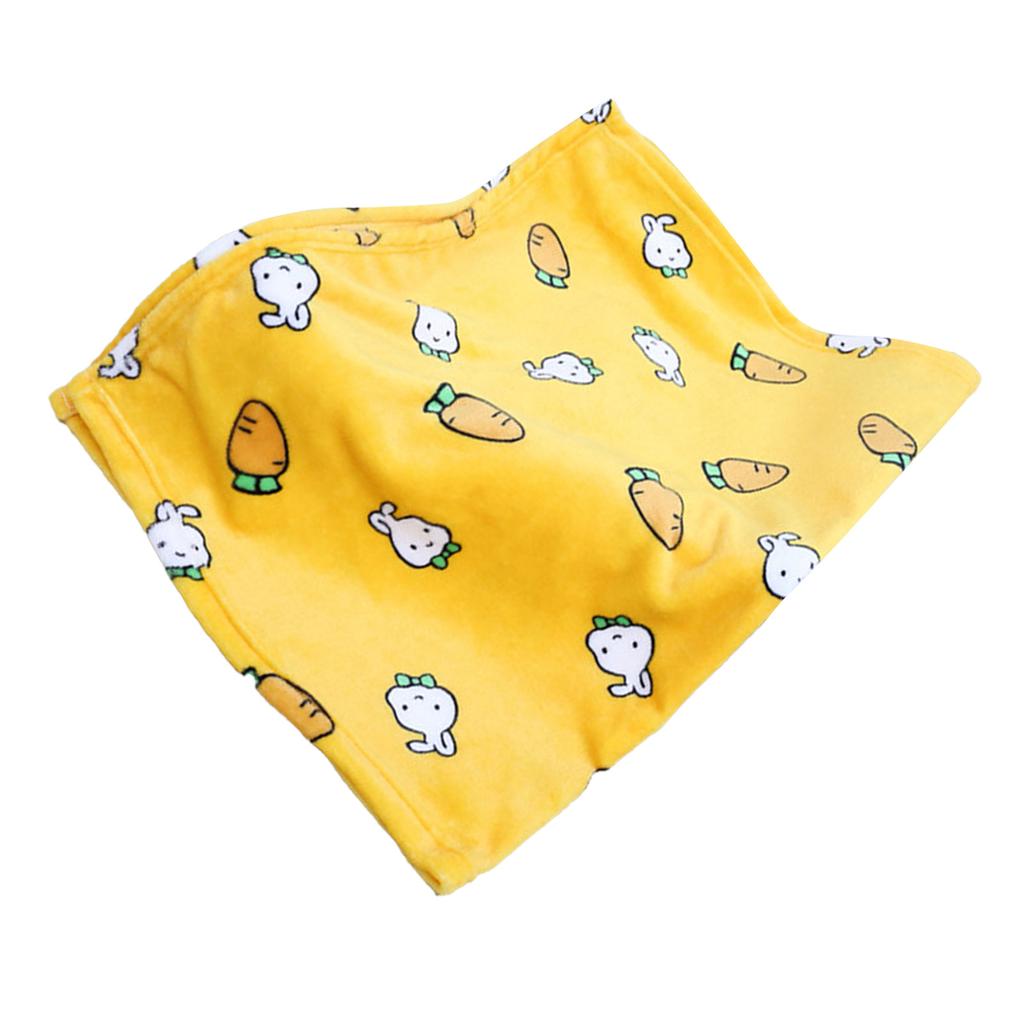 Pet Blanket Thick Soft Warm Double Sided Flannel Coral Fleece Cat Dog Sleep Blanket for Small