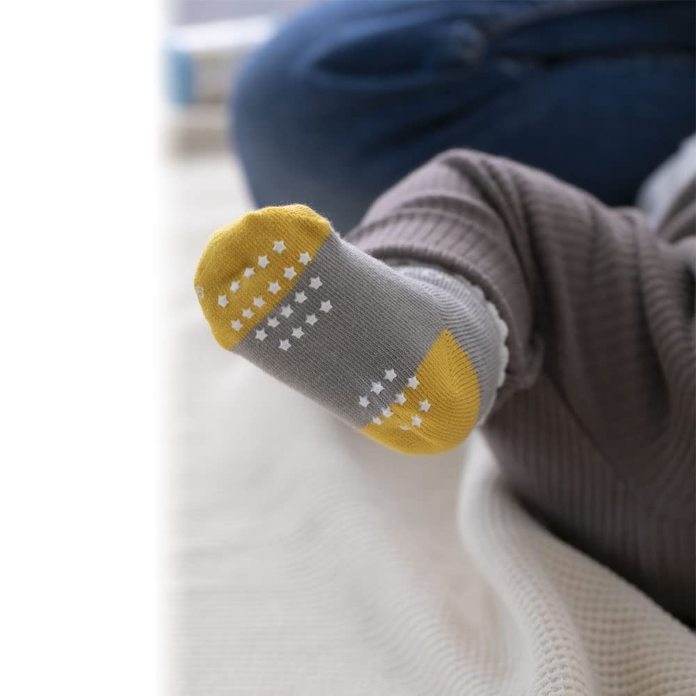 Coco Walk (WAVE) Leo Lionni Baby Goods, Baby Shower Gift, Boxed (1 Socks, 1 Bib, 2 Mini Handkerchiefs), Number Pattern, Made in Japan, R-210815-NUM
