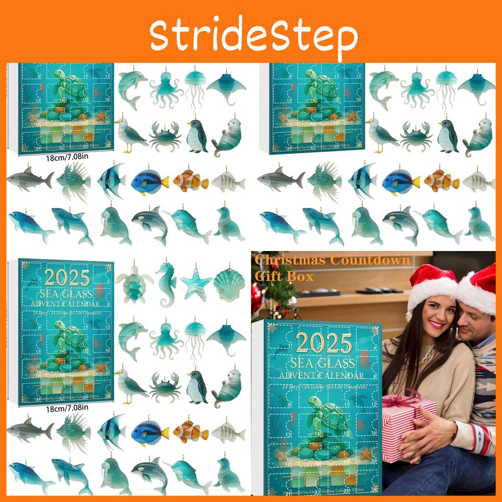 Christmas Advent Calendar Marine Life Acrylic Decorations For Holiday Party And Gift Giving