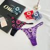 Mesh Hollow Embroidery Floral Panties Colorful Flowers Thin Belt Thong Underwear for Women Hotel