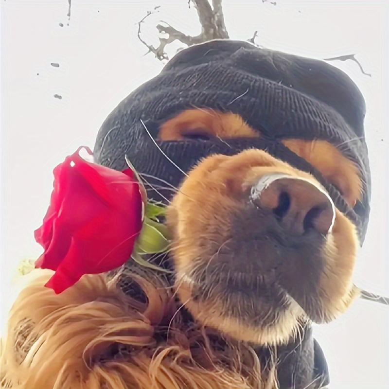 1pcs Quirky Dog Mask, Knitted Dog Ears Warm Hat Dog Thief Mask Fun Pet Role Play Suitable for Medium and Large Dogs