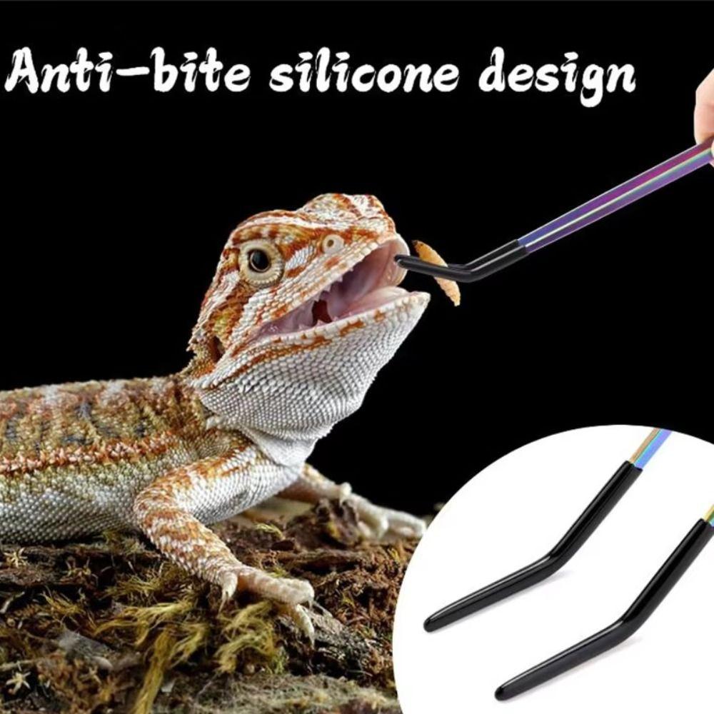2Pcs Stainless Steel Lizard Feeding Tweezers Non-slip Reptile Feeding Tongs Gecko Snake Accessories
