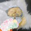 20CM Cookie Run Kingdom Game Vanilla Cookie Q Plush Doll Body Dress Up Stuffed Toys Cute Dolls Figures Gift for Adults And Kids