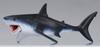 Ania Great White Shark AS-07