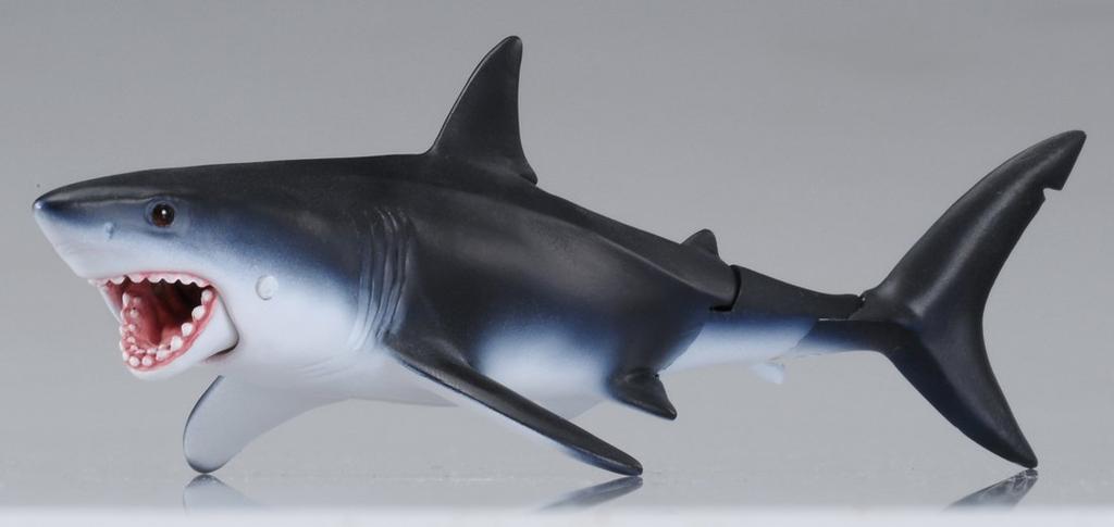 Ania Great White Shark AS-07