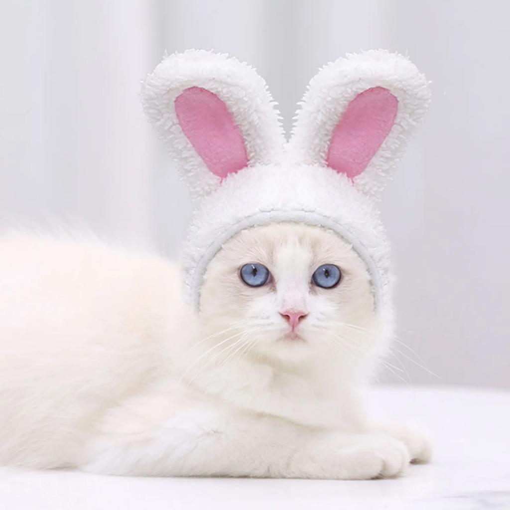 Cat Headgear Cute Pet Dog Cat Caps Rabbit Ears Hats For Cats Kids Bunny Cosplay Props Bunny Ears Pet Headdress Cat Accessories