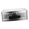 Tin Storage Box 8.07x5.91x2.95 Inches Large Capacity Organizer Jewelry Case with Handle Lightweight Metal Box Ideal for Travel Organization