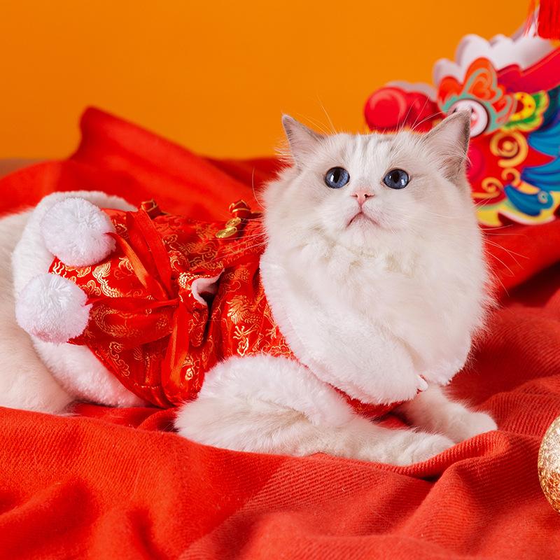 Lucky Bag Satchel Cat Clothes Chinese New Year Festive Chinese New Year Tang Clothing Two Feet Velvet Warm Puppet Pet Cat Clothing
