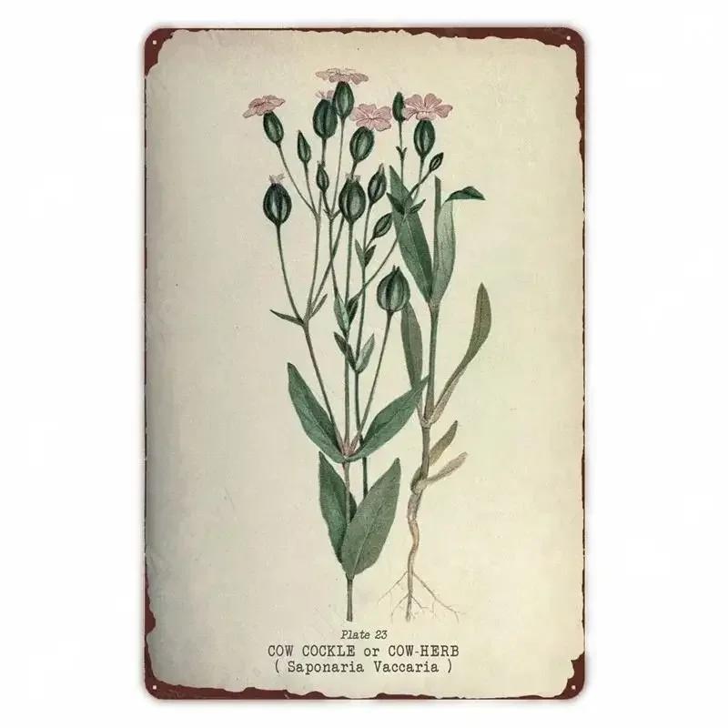 Retro Vegetable Plants Poster Vintage Fruits Metal Tin Sign Cauliflower Wall Art Sign Garden Kitchen Farm Flowers Plate Decor