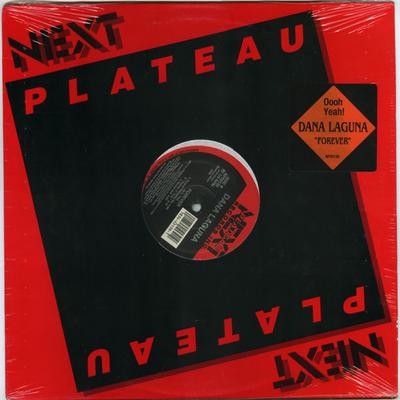 12inch Record DANA LAGUNA - Forever NP50139 Next Plateau Re 1991 US Dance & Electronica Used