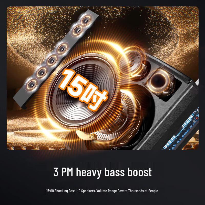 SAST WD-15 15-inch Portable Bluetooth Karaoke Speaker CN plug (adapter included)