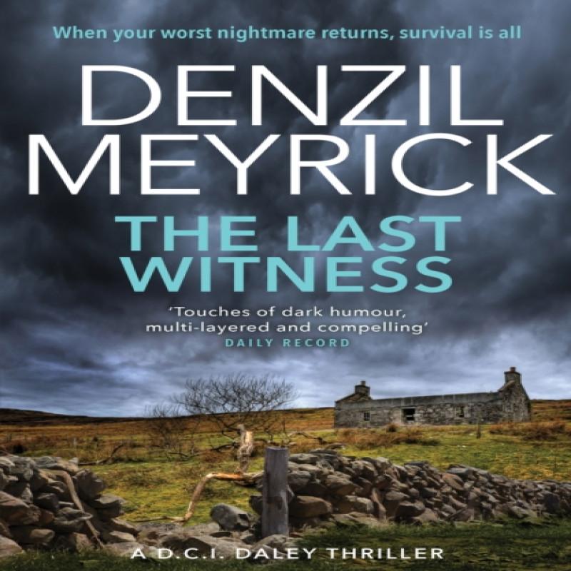 The Last Witness by Denzil Meyrick Paperback Book 9781846972881