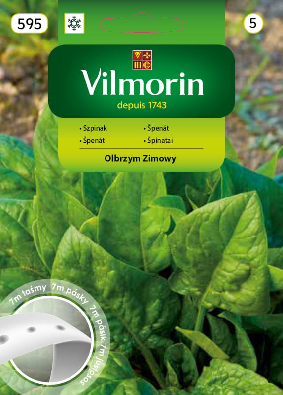 Spinach Giant Winter Seeds On a 7m Tape - VILMORIN