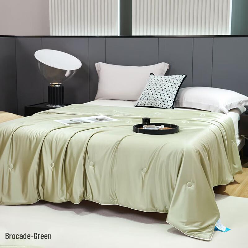 HMHM Luxury Soft Ice Silk All-Season Quilt