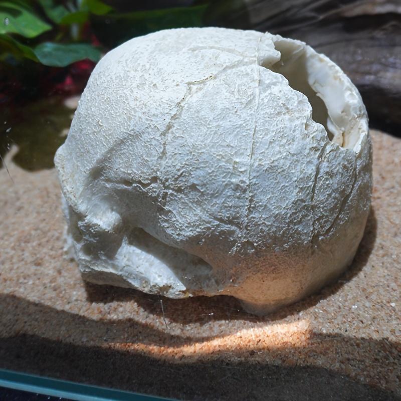 Amphibian Themed Aquarium Decorative Skull, ABS Resin, Reptile House Cave Decoration for Terrariums and Vivariums
