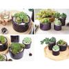 Succulents Planter Resin Mold Plant Pot Crystal Mold Jewelry Storage Box Cup Silicone Mold Vase Flower Pot Casting Mold