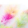 Rainbow Feather Cat Teaser Wand - Colorful Interactive Cat Toy, Fun Chasing & Swatting Play for Kittens & Adult Cats,