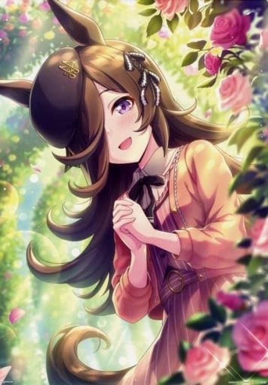 Ichiban Kuji Uma Musume Pretty Derby 3rd Edition C Prize Illustration Board Rice Shower