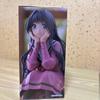 Fragrant Flower Blooms Dignity Noodle Stopper Figure Waguri Kaoruko