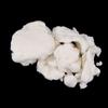 Dehydrated Paper Making Raw Materials Chinese Craftsmanship Wood Pulp Paper Pulp  Papermaking