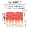 Sofina iP Elasticity Injection Serum