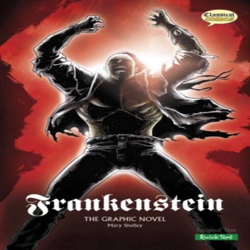 Frankenstein The Graphic Novel by Mary Shelley Paperback Book 9781906332167