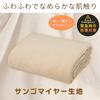 IRIS OHYAMA Disaster Prevention Goods Blanket 3WAY Disaster Prevention Supplies Disaster Goods 140 x 190cm 3WM