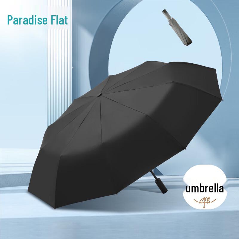 Paradise Automatic 10-Rib Sun & Rain Umbrella