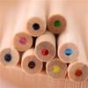 Barreled Painting Drawing Art Kawaii Pencil Crayon 12 Color Pencil Student Pencil Colored Pencil