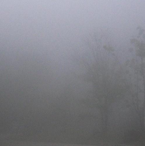 

CD DOWNT III Limited Edition PCD4645 PVINE 2023 Japan Obi Japanese PopRock