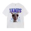 James Iames Funny Cat Meme TShirts Stupid Joke Gifts Cat Lover Short Sleeve TShirt Unisex Unisex Fashion Oversized Cotton T Shirts