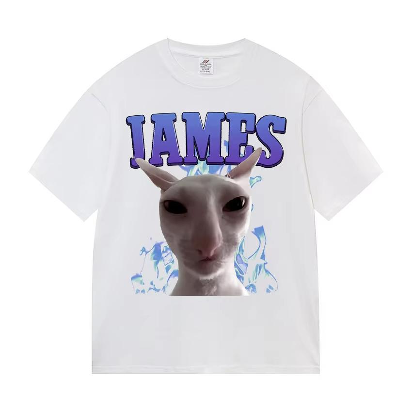 James Iames Funny Cat Meme TShirts Stupid Joke Gifts Cat Lover Short Sleeve TShirt Unisex Unisex Fashion Oversized Cotton T Shirts