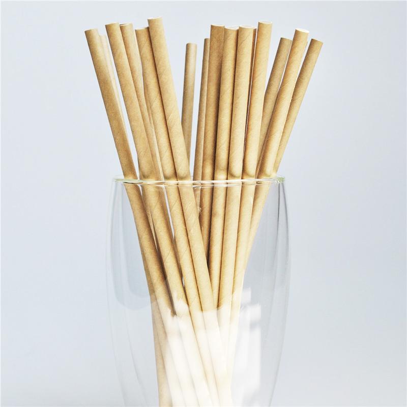 25 buc Paie de Băut de Unică Folosință din Hârtie Colorată, Folie Aurie/Argintie Curcubeu, Decor de Crăciun, Nuntă, Zi de Naștere, Articole de Petrecere